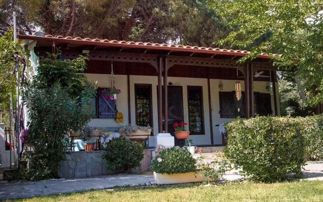 Estate Irene