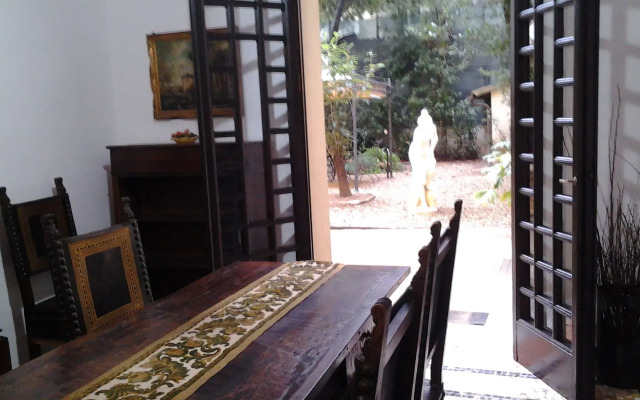 Little Garden Donatello