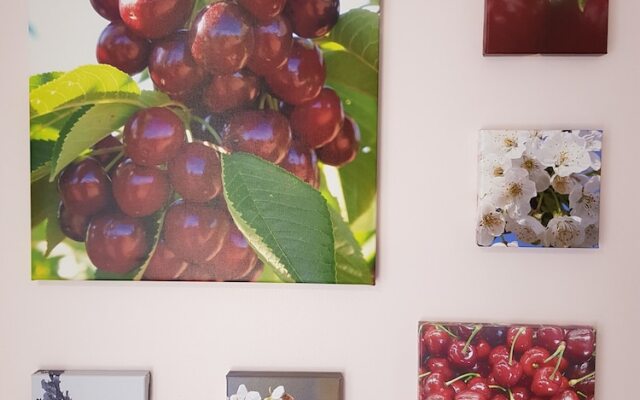 Town House Motor Inn