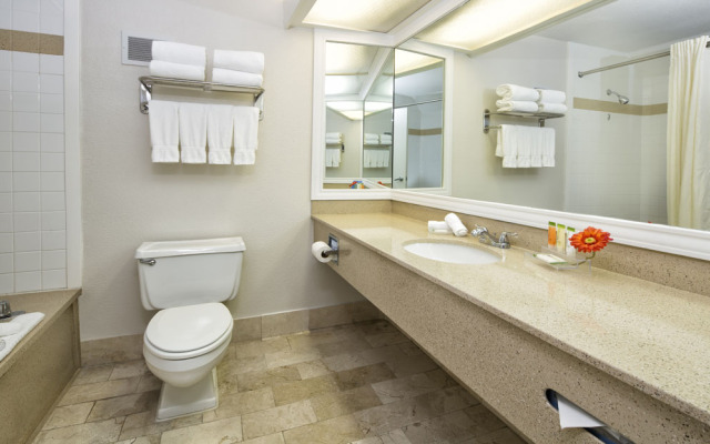 Holiday Inn Resort Kissimmee by the Parks