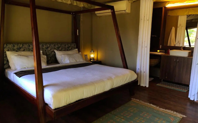 Bagh Tola, Bandhavgarh Tiger Reserve