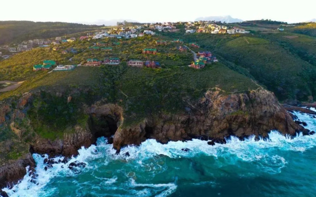 Dolphin View