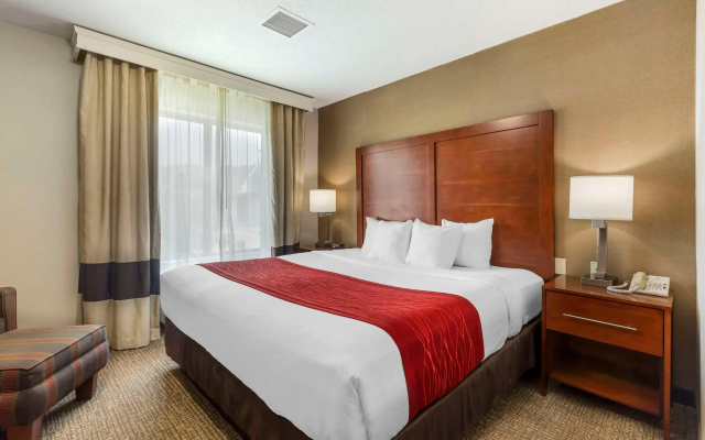 Comfort Inn & Suites Rapid City South - Mt. Rushmore Gateway