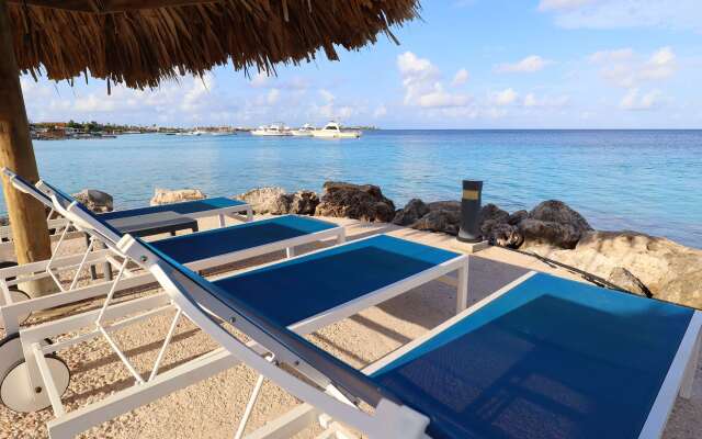 Divi Flamingo Beach Resort & Casino