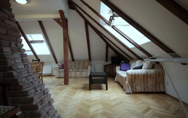 Generous Attic Apartment