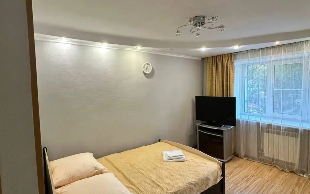 Apartments on Pushkin street 10