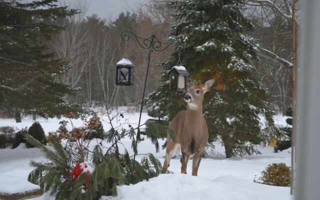 The Briarwood B&B