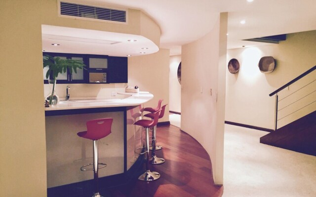 Luxurious NYC style downtown AC duplex