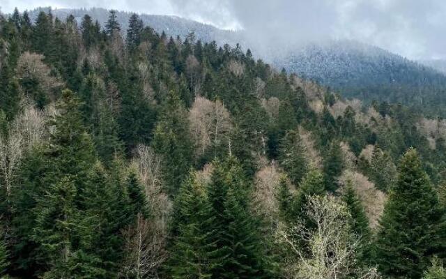Appartement Chalet à 1400m - Station du Mourtis