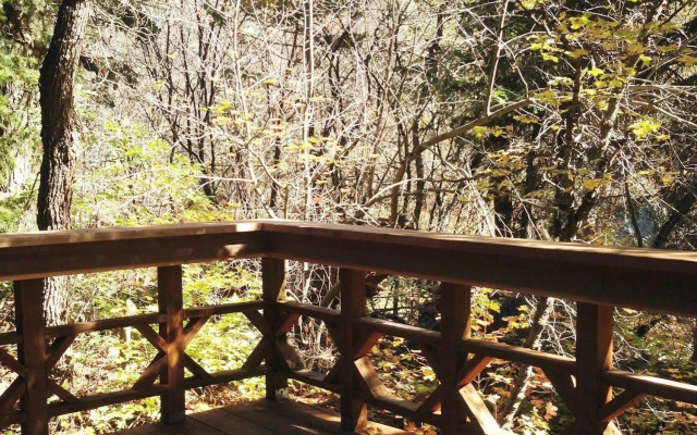 Treehouse by the Stream