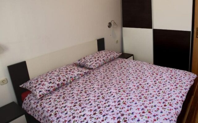 Apartment Drenovica