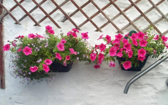 Period Living in Hayle