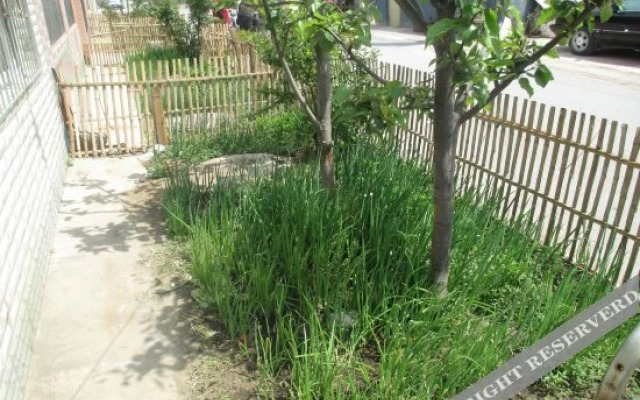 Yiming Farm House