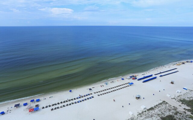 Twin Palms 2005 - 1137265