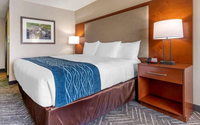 Comfort Inn & Suites Mountain Iron and Virginia