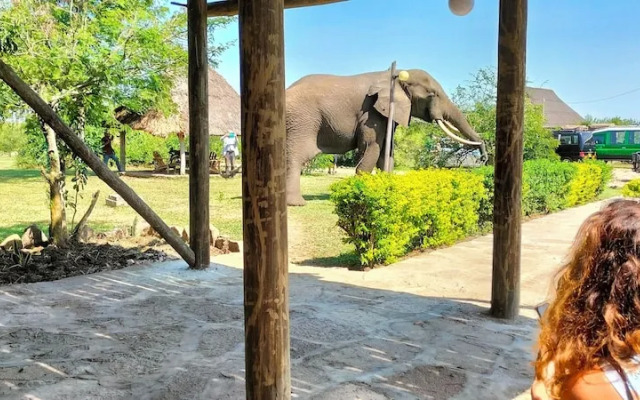Engiri Game Lodge and Campsite