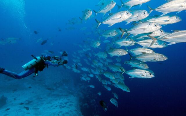 Jean-Michel Cousteau Resort Fiji