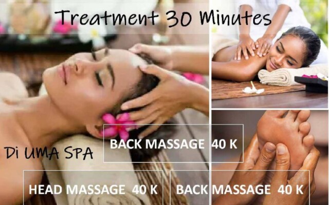 Diuma Residence Yoga Meditation Retreat and Healing Center  By Zuzu