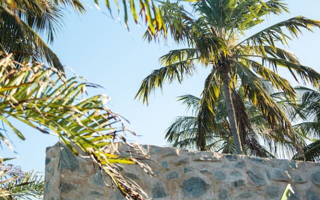 Paru Boutique Hotel
