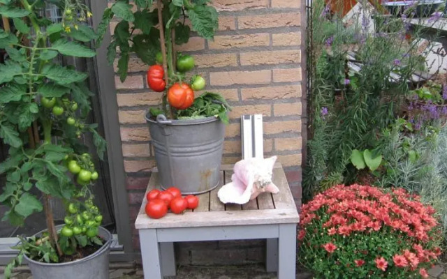 B&B Bed en Brochje Hoogland