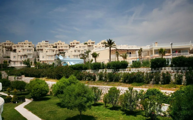 Important Group Turqouise Homes Beryl