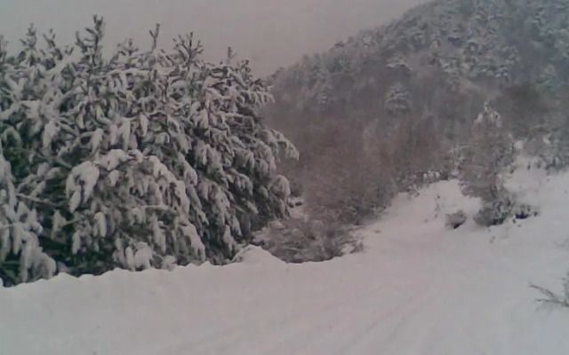 Yancheva Guest House