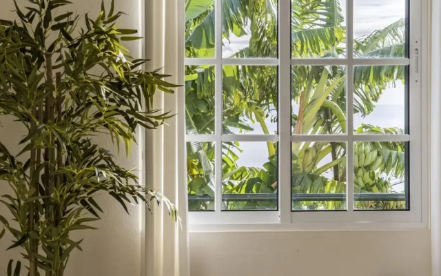 Sunny House by Madeira Sun Travel