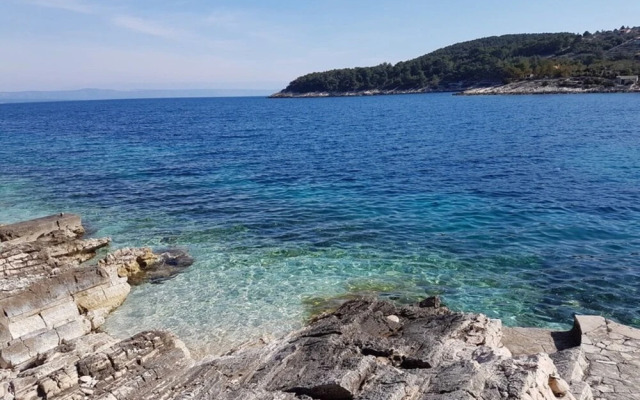 Villa Bistrana - 15m From sea - H
