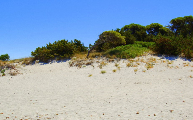 Beach Hotel Budoni