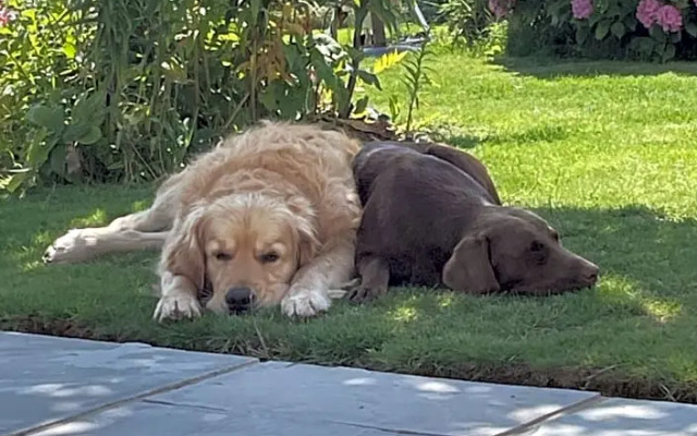 Westerley Country B & B with exclusive Guest lounge