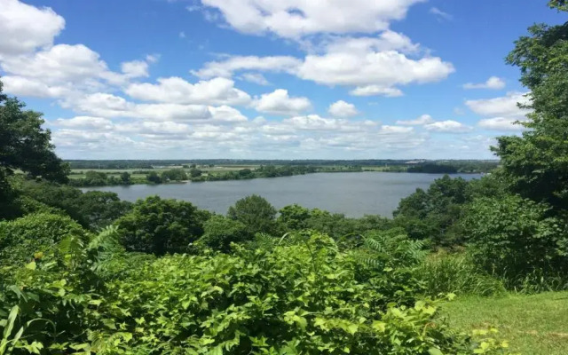 Staybridge Suites St Louis - Westport by IHG