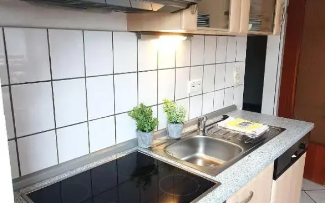 Winterberg Appartement 21098