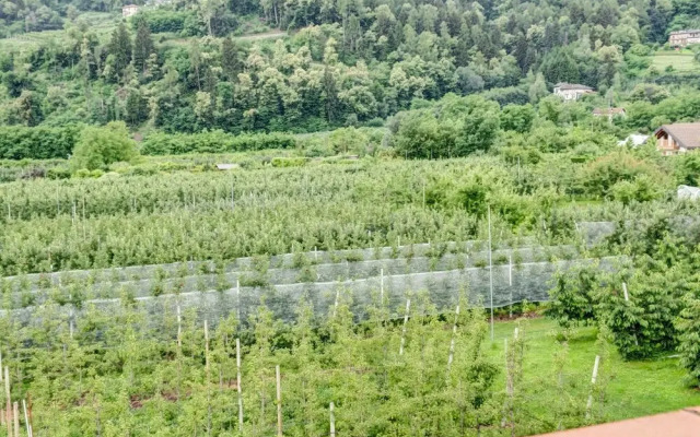 Apartment in Canale With Balcony, Garden, Garden Furniture
