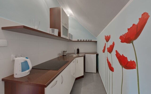Beauty of Krakow Studio