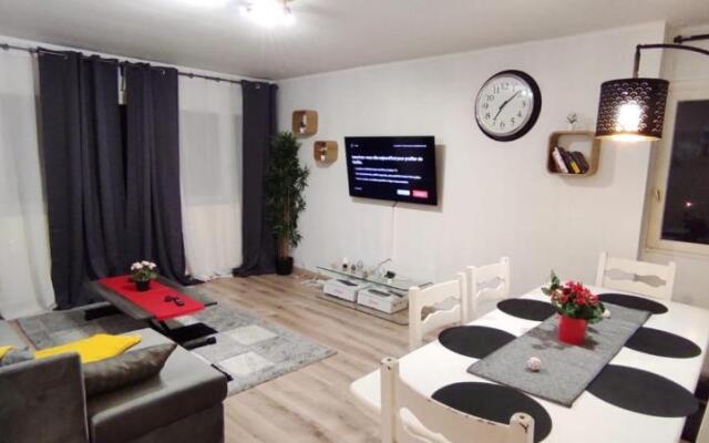 Magnifique Appartement Lille WIFI Parking by Servallgroup