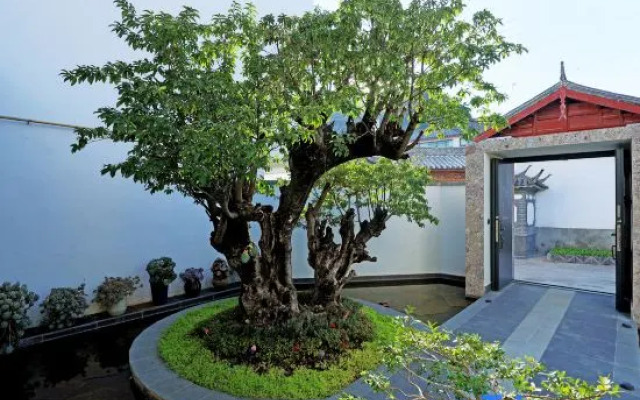 Yulong Saddle Mengyuan Boutique Meisu