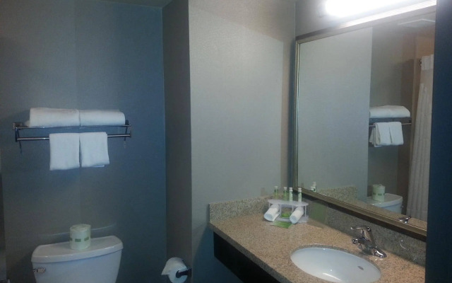 Holiday Inn Express & Suites Indio - Coachella Valley by IHG