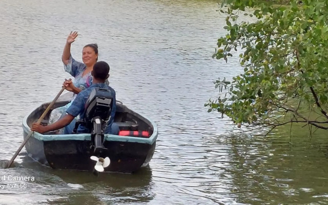 Morning Guest can see Momkeyies and Birds