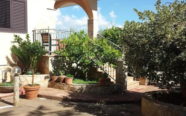 Stella Della Valle DItria