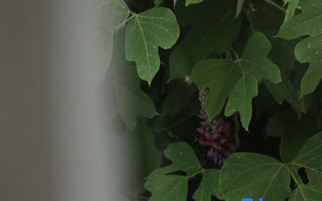 Zhi Lan Qiu Lakeside Homestay