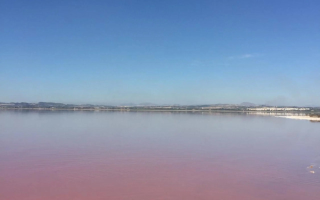 Seafront Dream Apartment