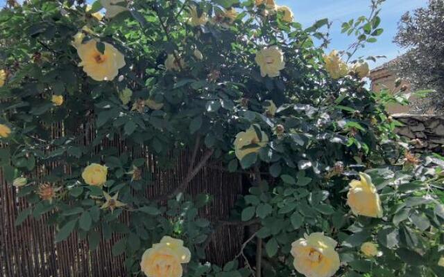 Suite privee Tavel - Le Mas de l Acacia