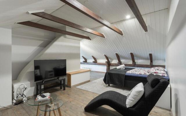 Unique open space loft studio in the attic
