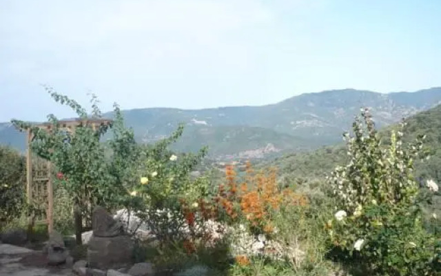 Chambres dHôtes A Ritonda