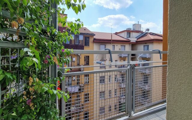 Italianway - Palestrina 31