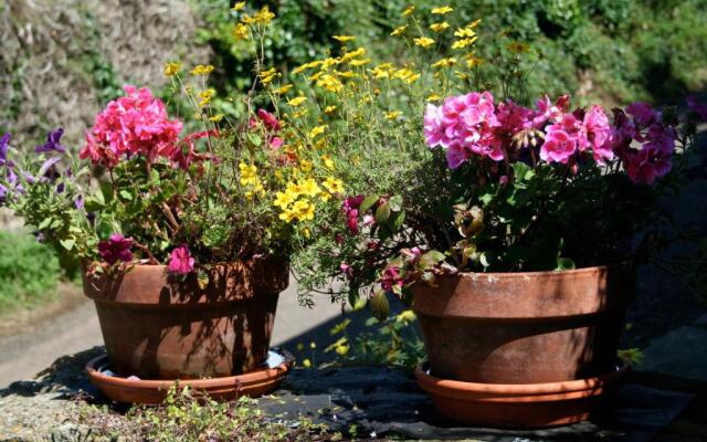 The Cottage Abbotsbury