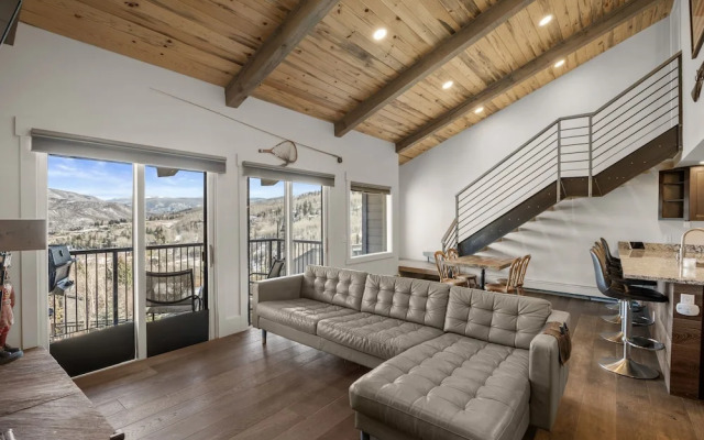 Central Aspen Condo Walk to Gondola & Ruby Park - LC5