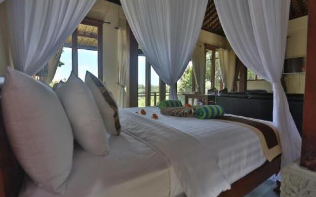 Bali Ubud Villa View