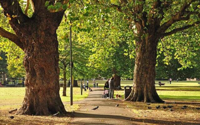 2 Bed - Very Convenient Location - South Terrace