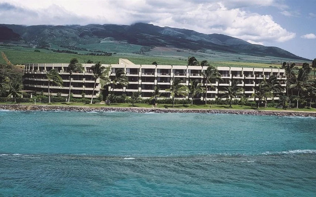 Aston Paki Maui